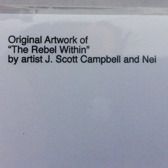 Disney Parks Star Wars Postcard WonderGround The Rebel Within J Scott Campbell - Picture 4 of 4